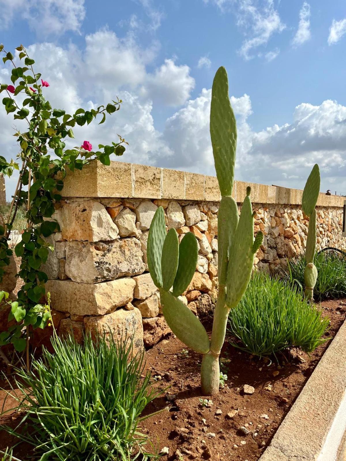 Masseria Voluzzi Copertino Zewnętrze zdjęcie